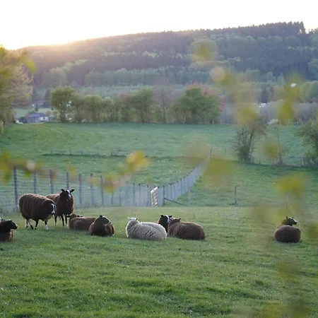 Ardennen The Great Hill Campingplatz Amel